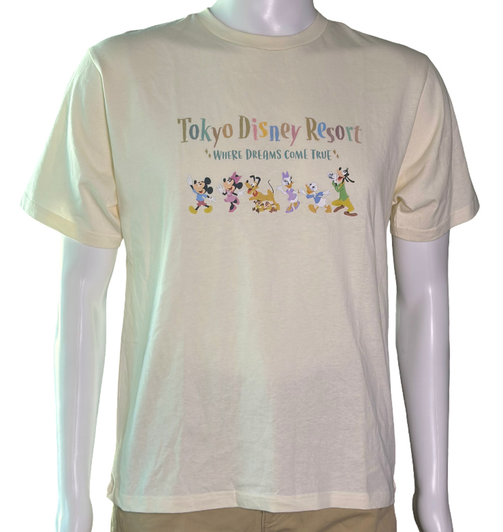 Tokyo Disney Resort Where Dreams Come True Map Lands T-Shirt Large